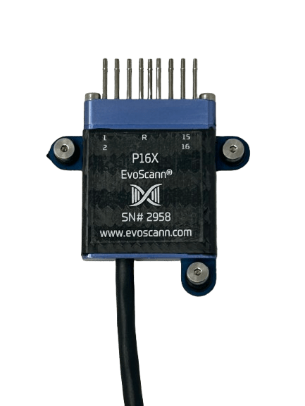 P16X A no background